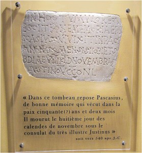 02-pierre de Pascasius protégée