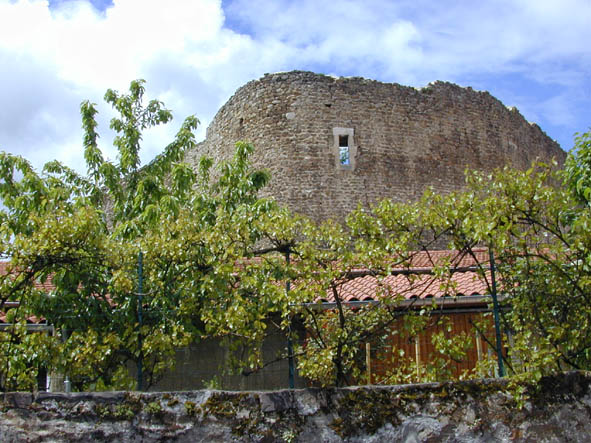 Vieux château-vue de chez Felissent -(2004-05-06) pf